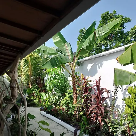 Veli Garden Thoddoo酒店